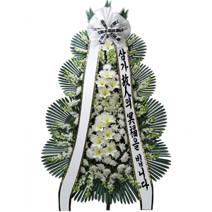 [�ֵ�]����3��3ȣ