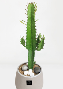 [������ȭ]ûȭ��1