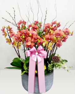 ȣ������Ȳ1