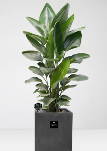 [����������]�ض���1