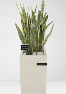 [������ȭ]�꼼������14