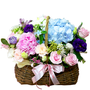 �θ�ƽ�ɹٱ���1