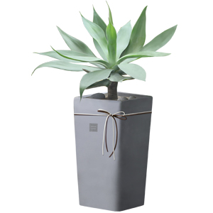 [������ȭ]�ư������״���Ÿ1