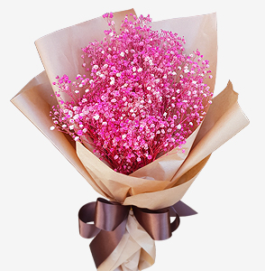 ���������Ȱ��ɴٹ�2